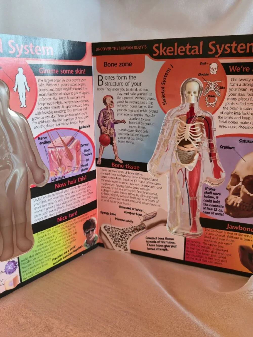 BOOK UNCOVER THE HUMAN BODY 2002 by LUANN COLUMBO